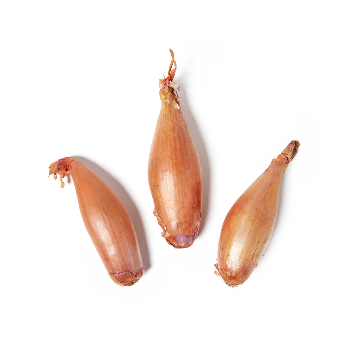 French Torpedo Shallots