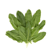 Sorrel