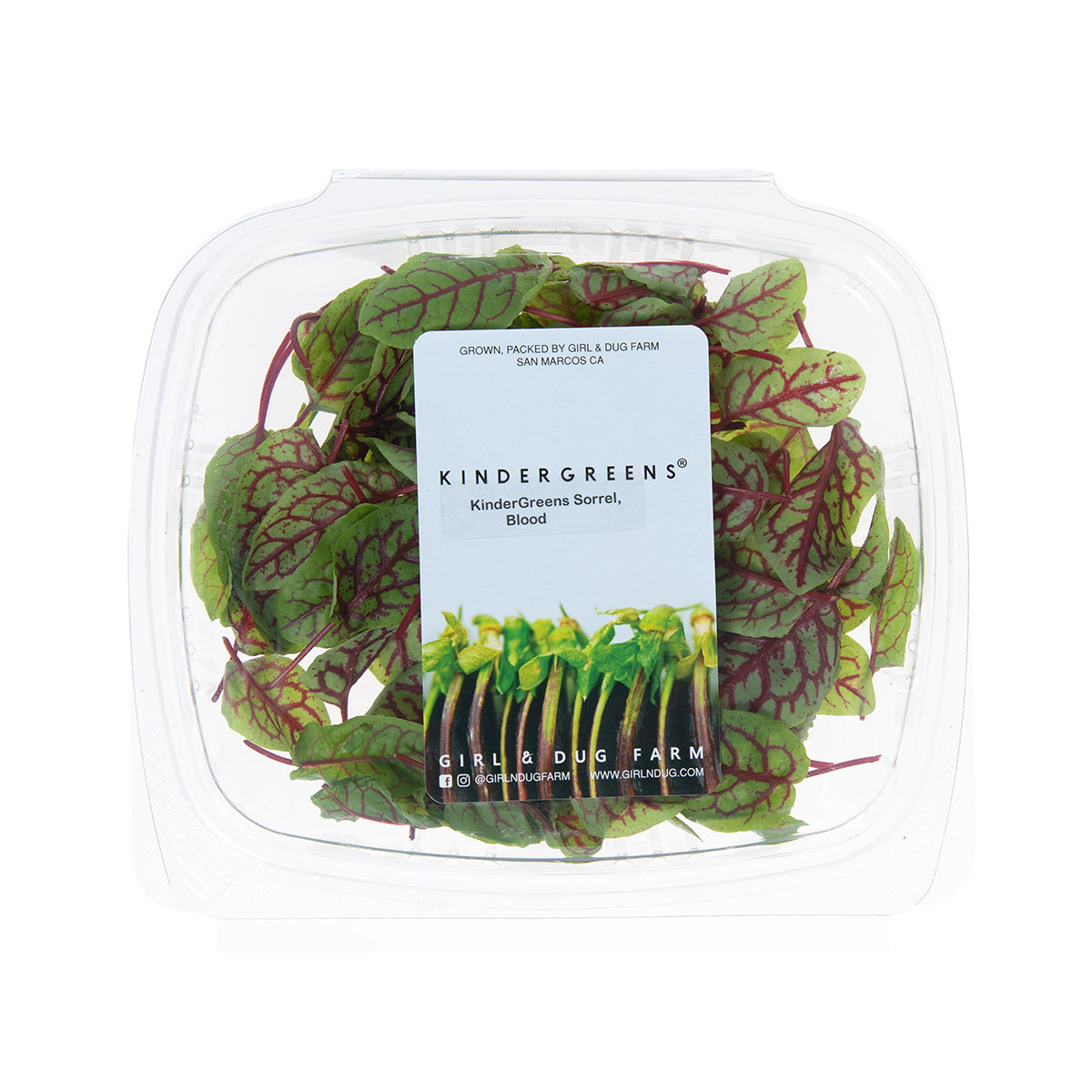 KinderGreens® Blood Sorrel