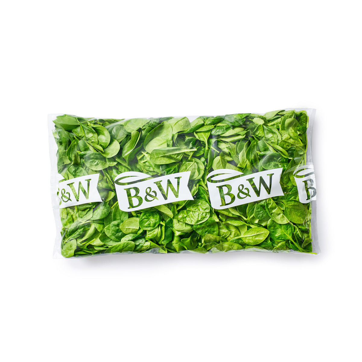 Baby Spinach