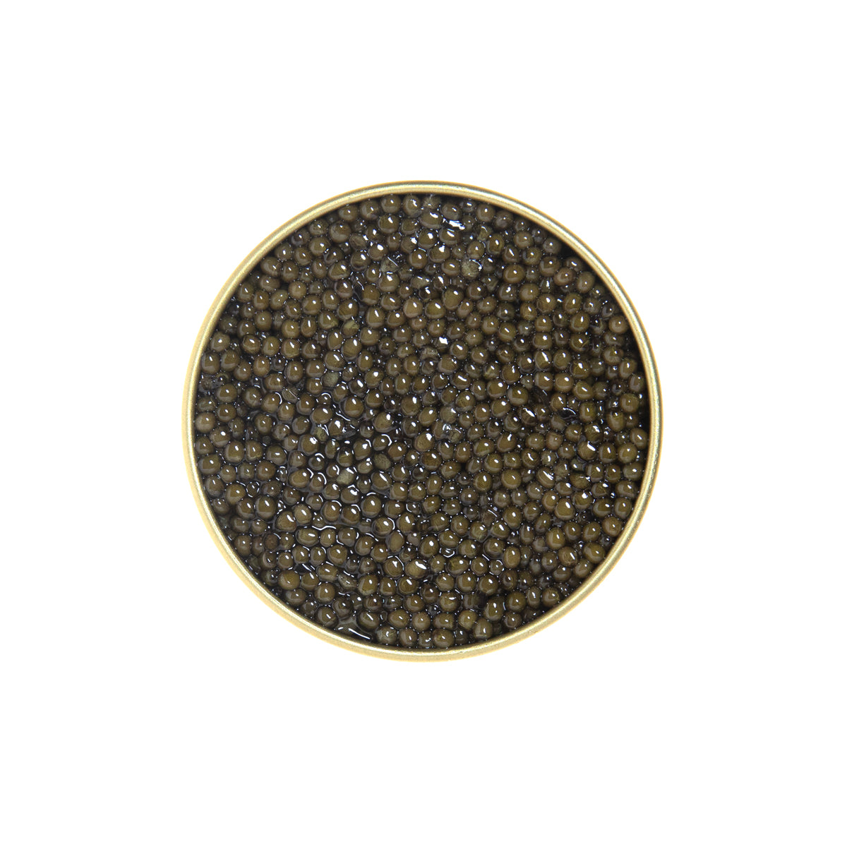 Polish Osetra Sturgeon Caviar