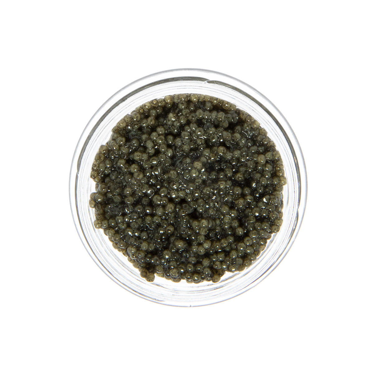 American Wild Paddlefish Roe