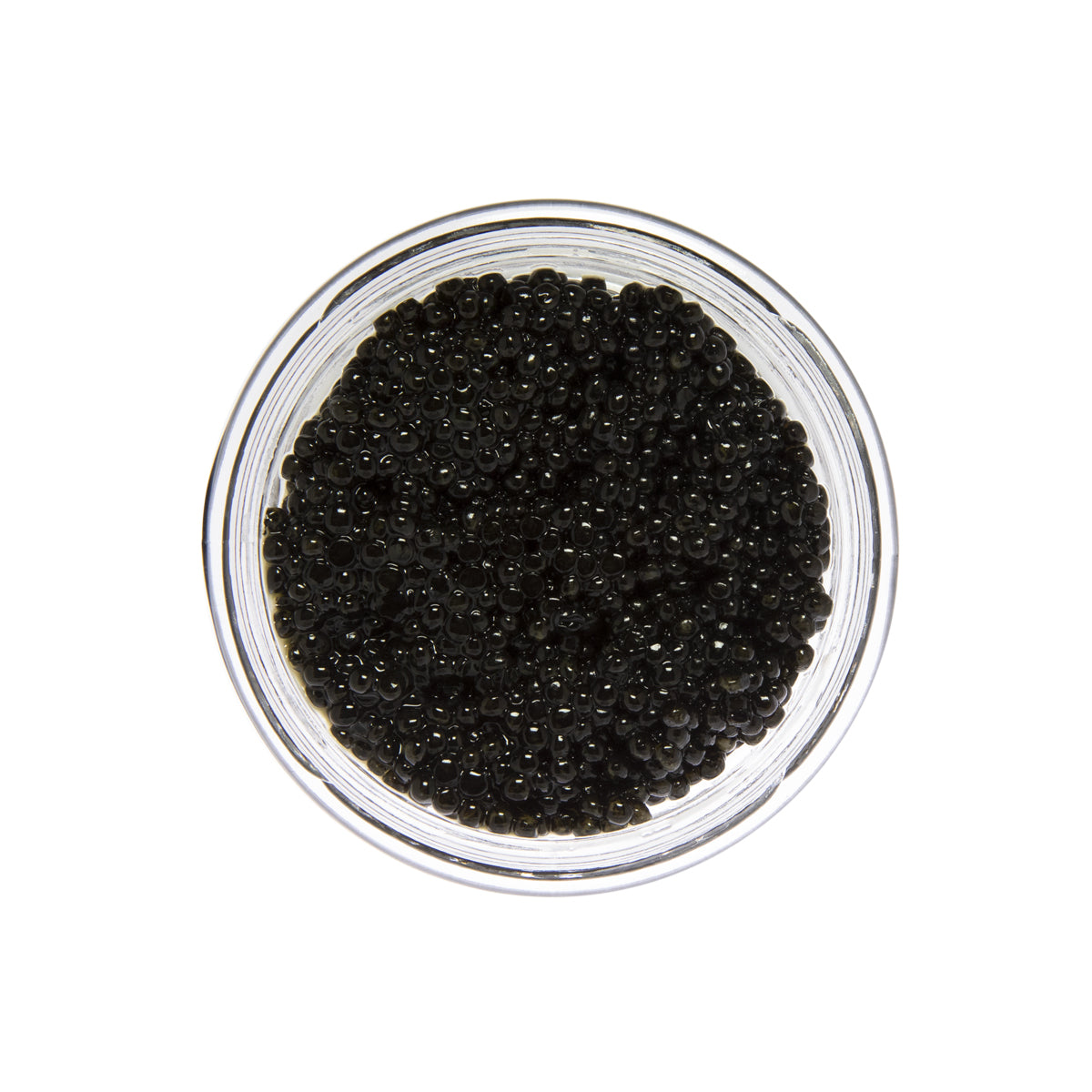 Italian White Sturgeon Caviar