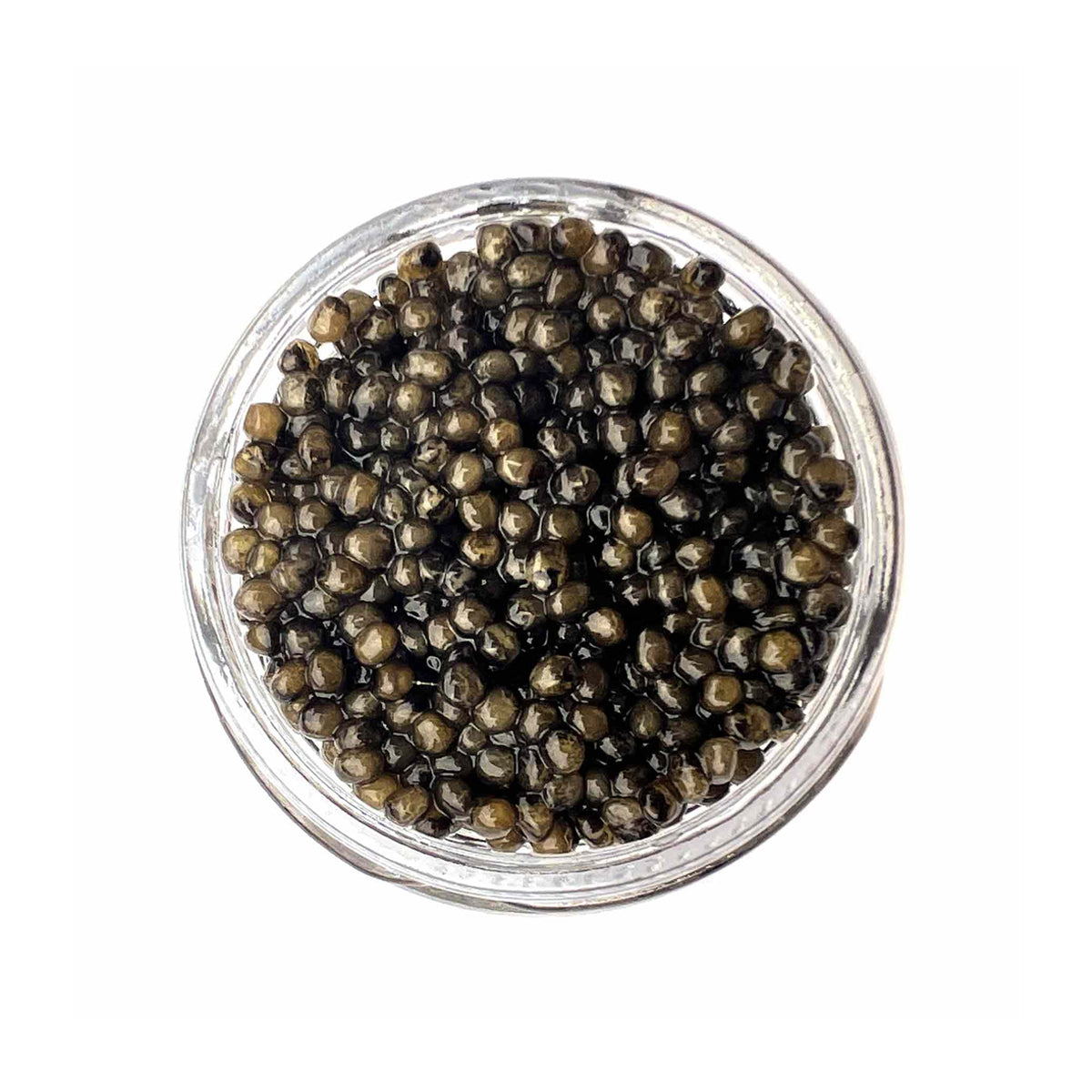 French Osetra Sturgeon Caviar