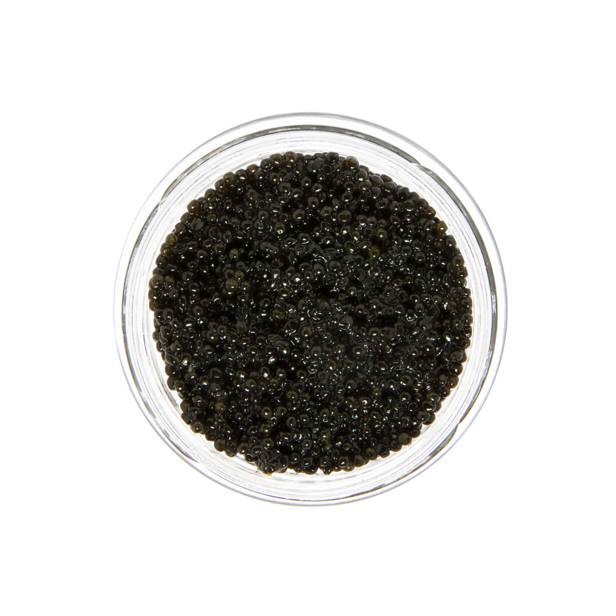American Wild Hackleback Sturgeon Caviar
