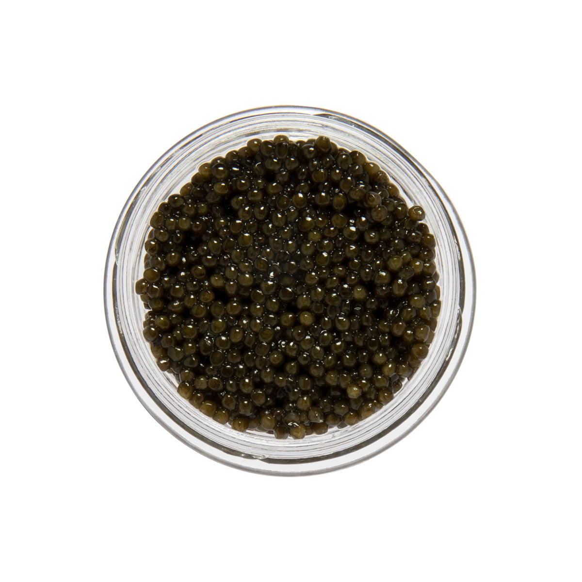 Amber Kaluga Hybrid Sturgeon Caviar
