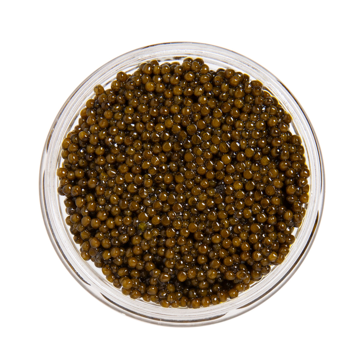 Amber Kaluga Hybrid Sturgeon Caviar 4oz