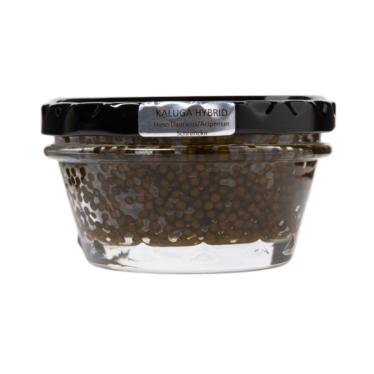 Amber Kaluga Hybrid Sturgeon Caviar 4oz