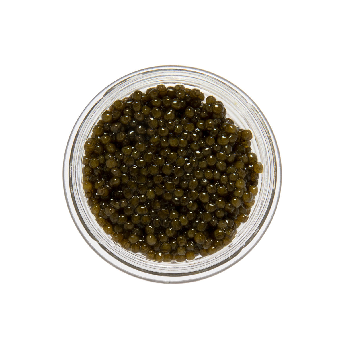 Polish Osetra Sturgeon Caviar