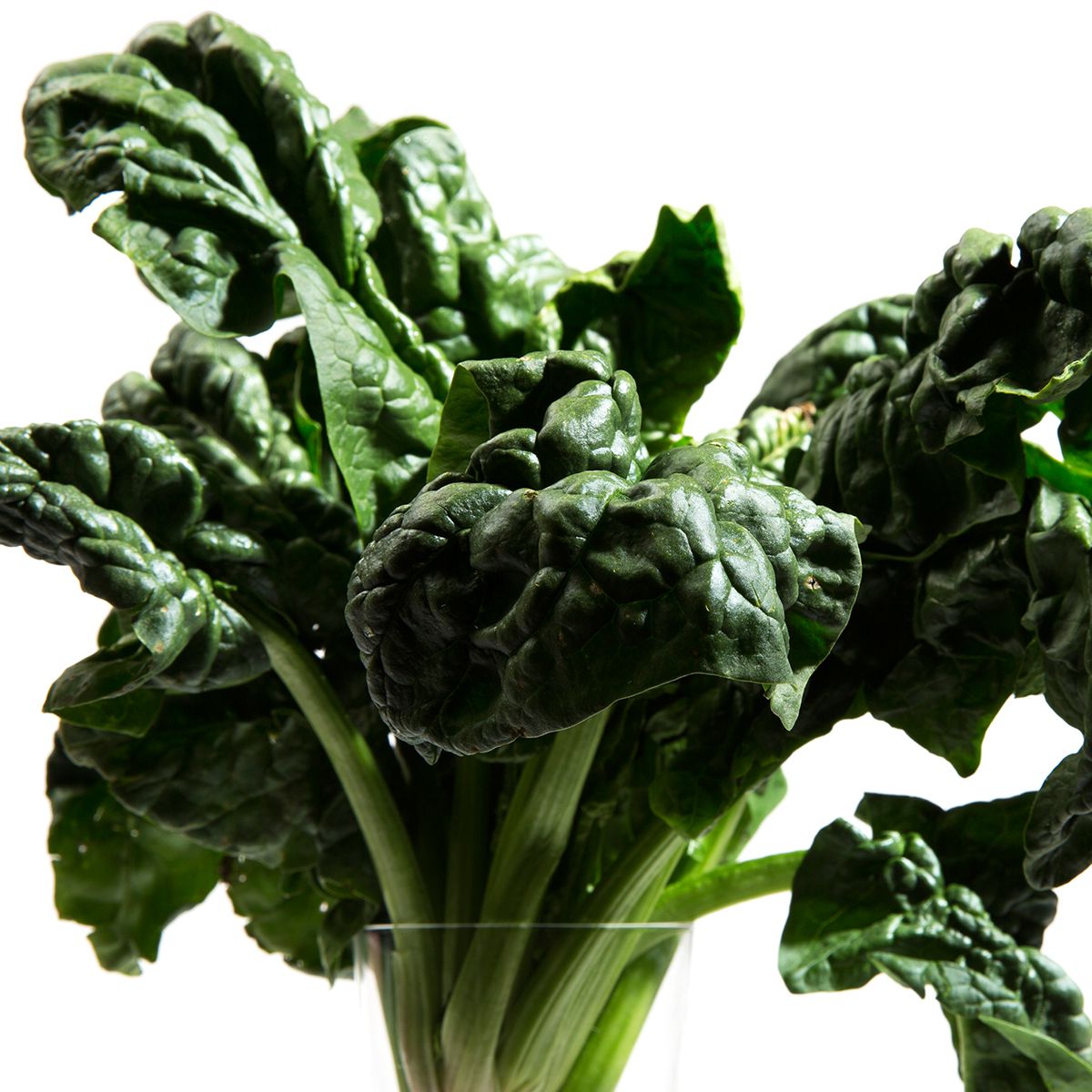 Organic Bunched Spinach