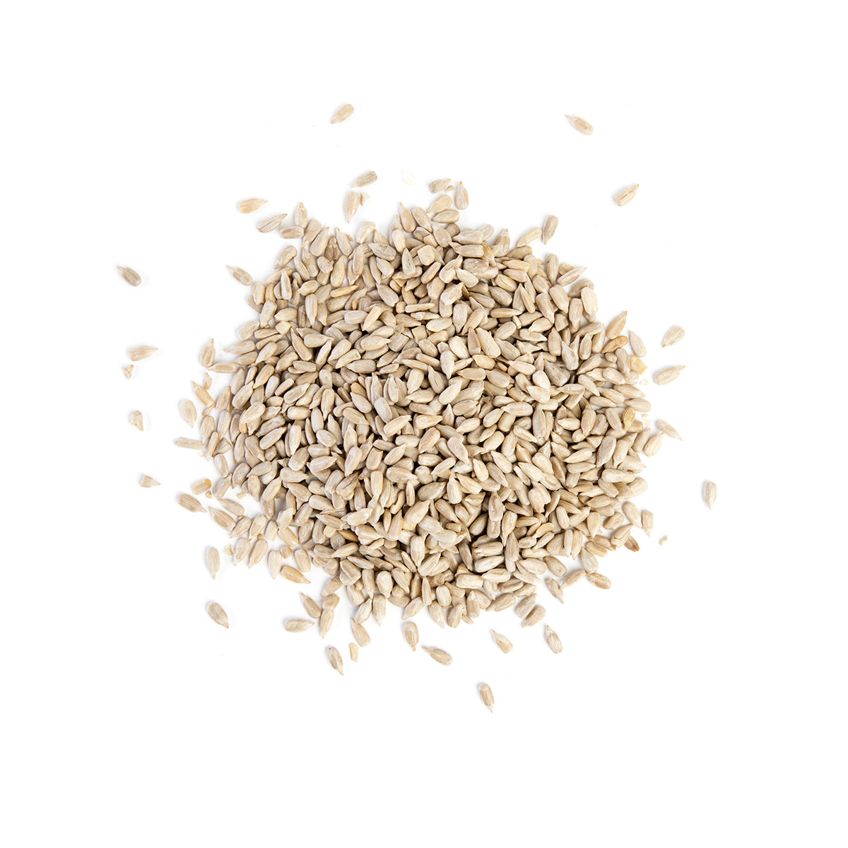 Raw Shelled Sunflower Seeds