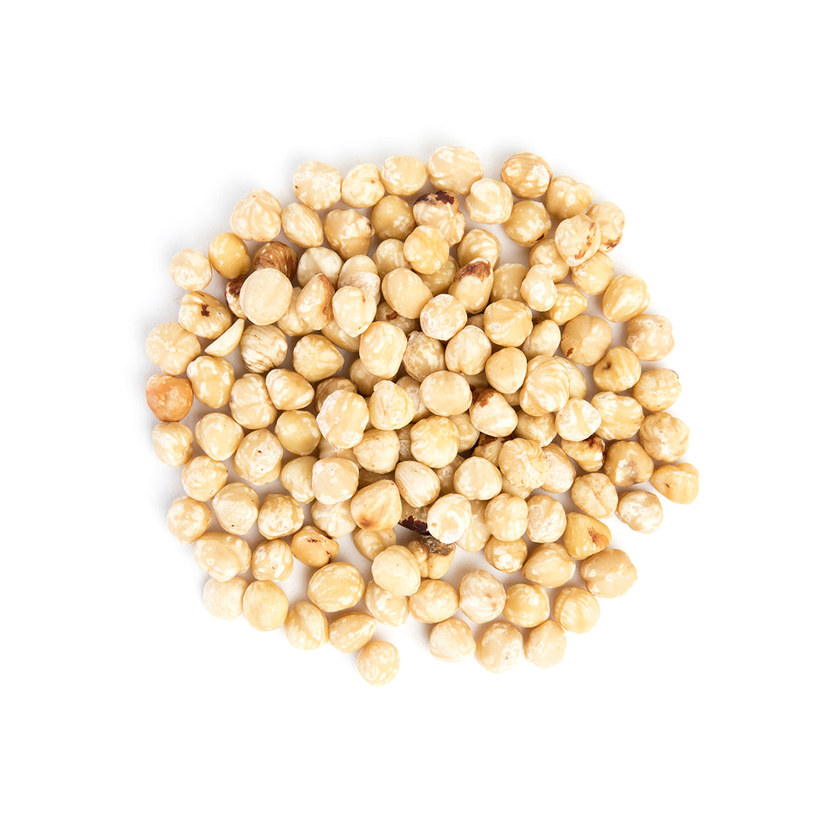 Raw Blanched Filberts