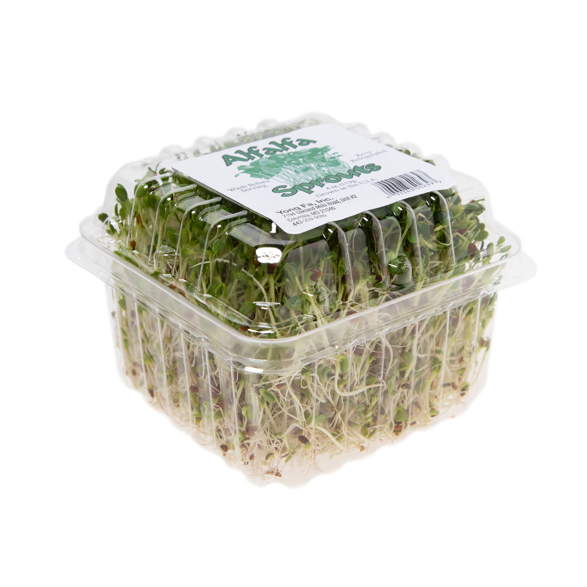 Alfalfa Sprouts