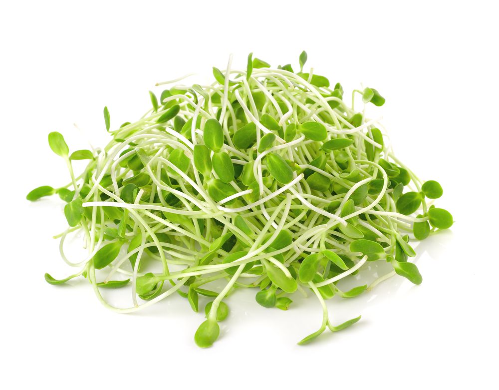 Sunflower Sprouts