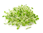 Sunflower Sprouts