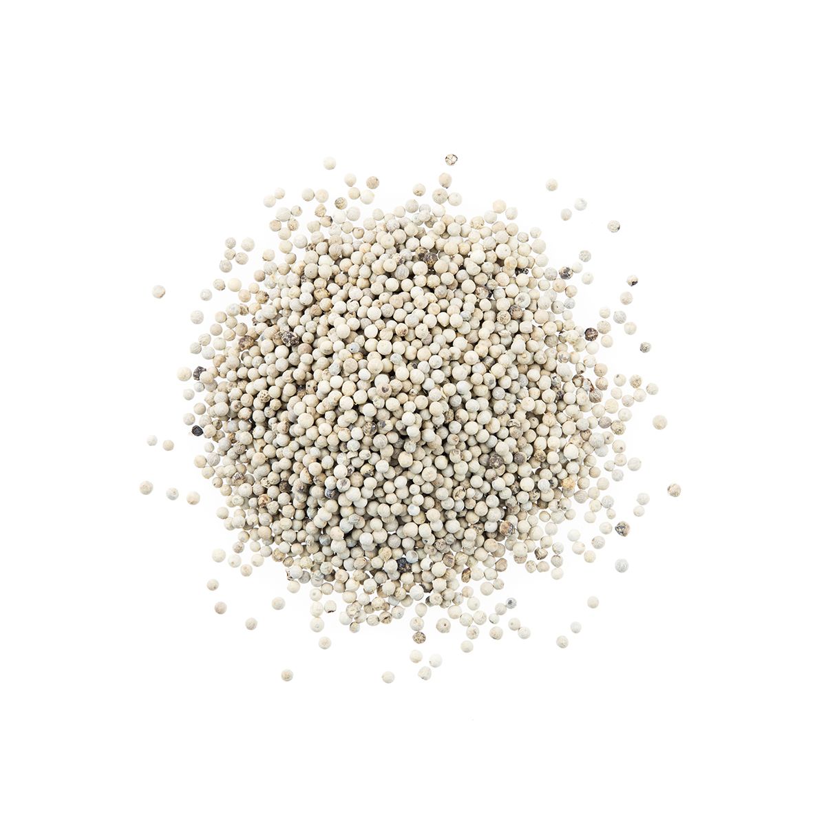 Whole White Peppercorns (Malabar/Lampung)