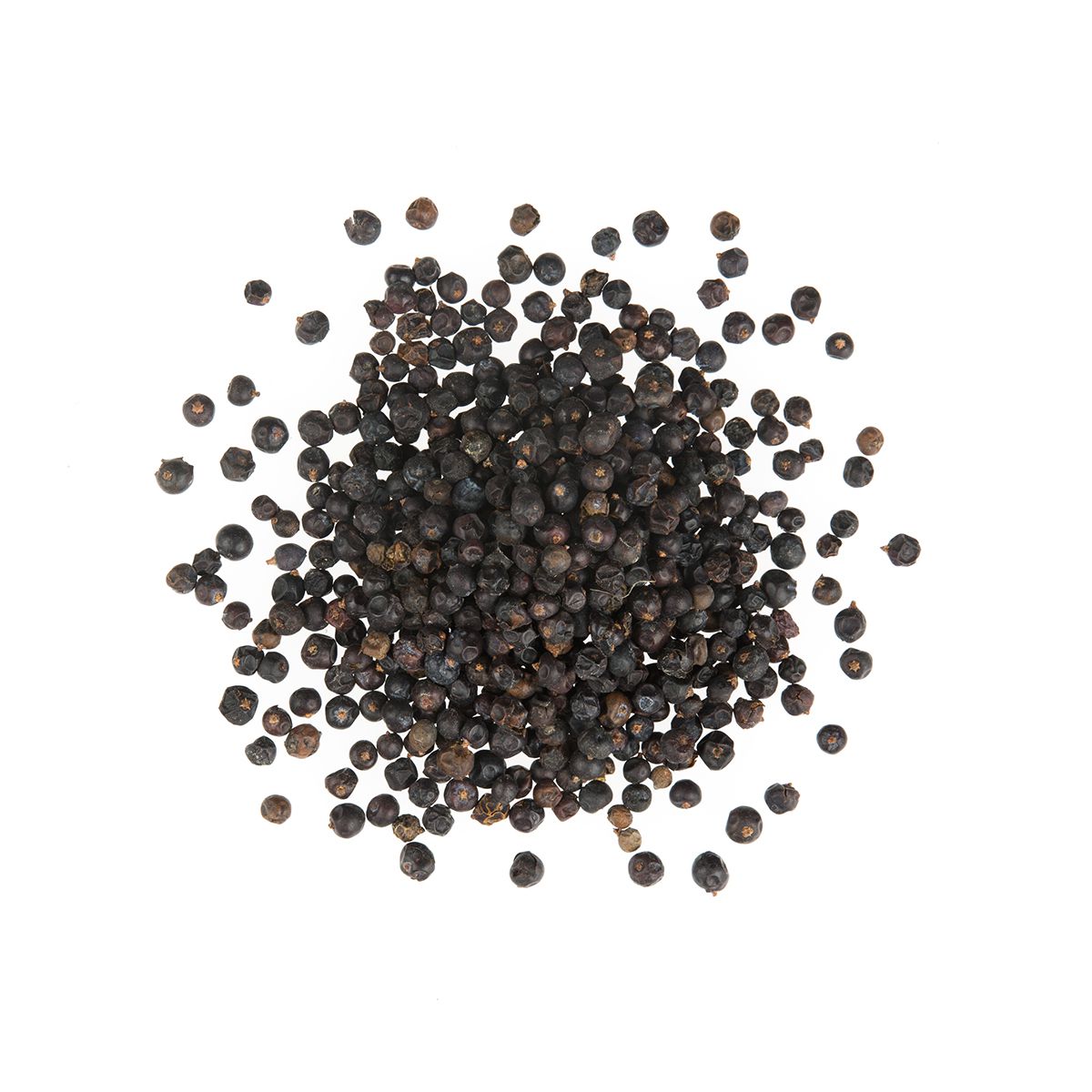 Juniper Berries