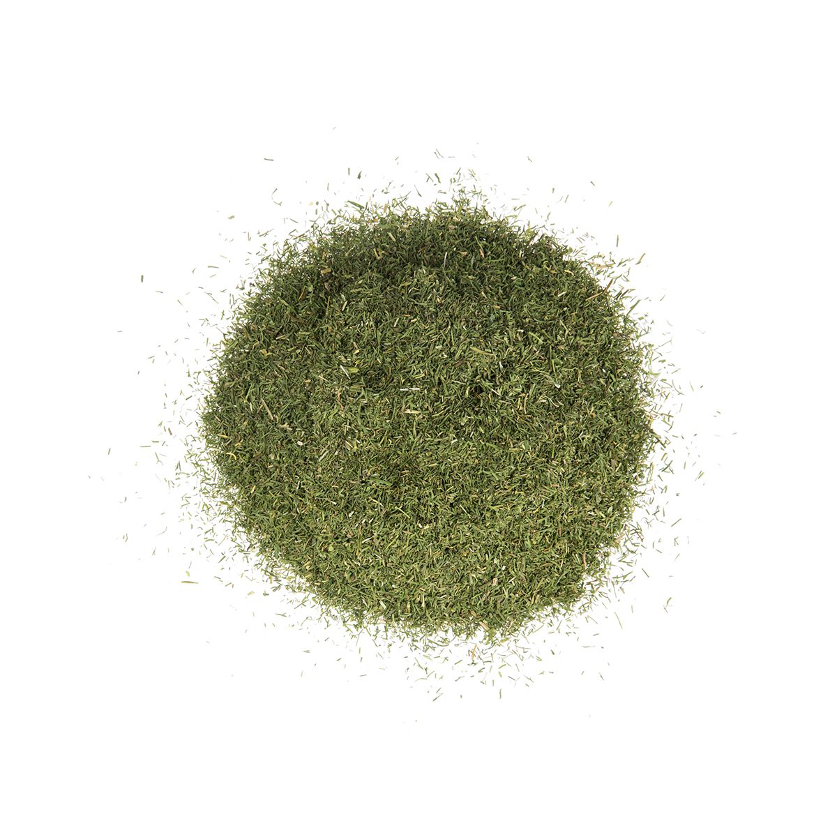 Dry Dill