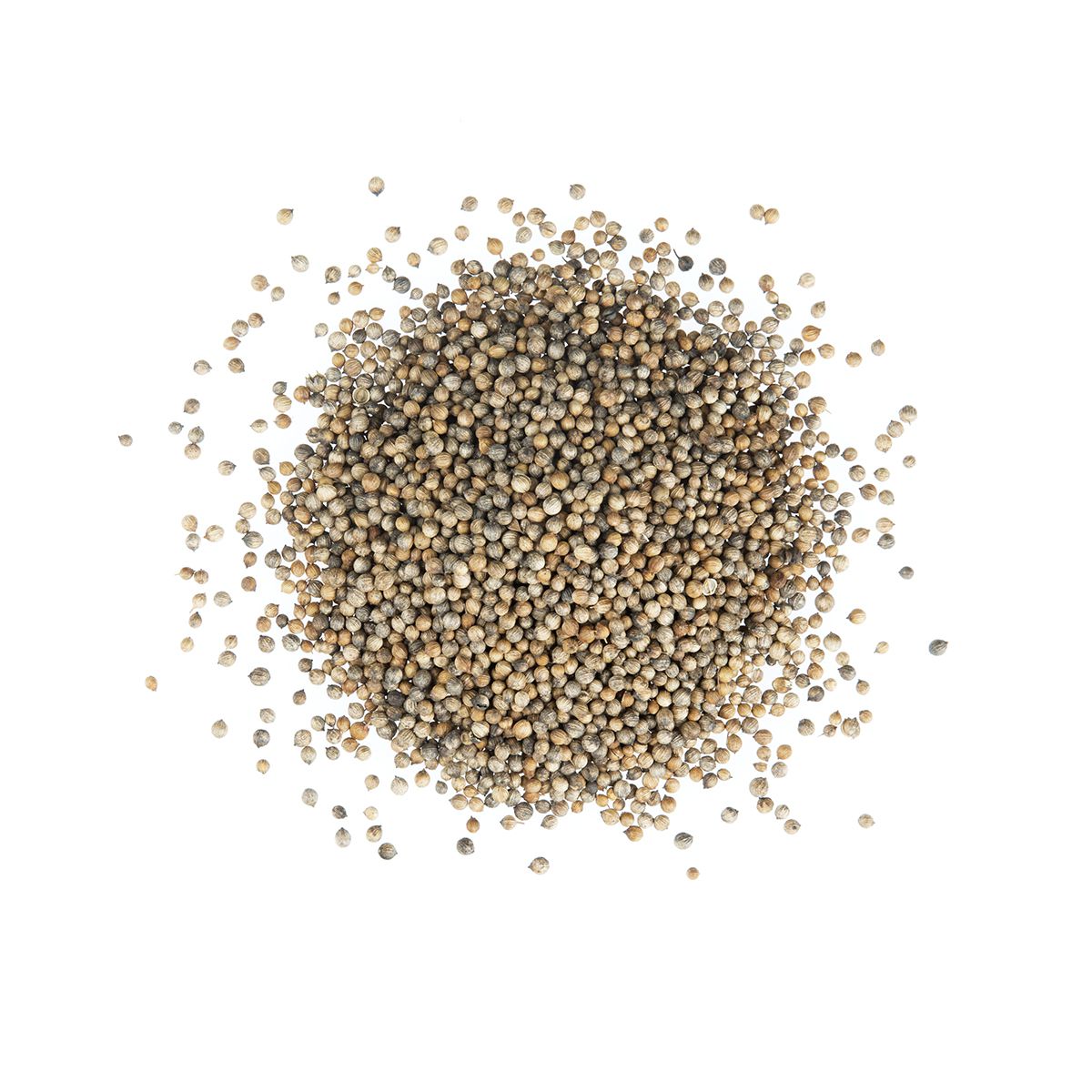 Coriander Seeds