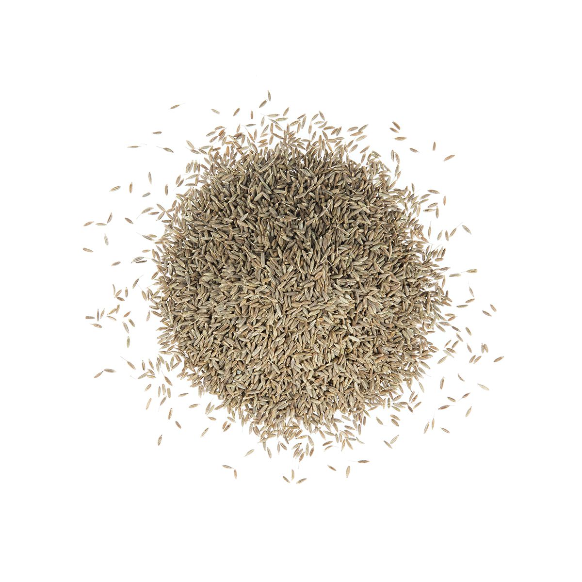 Cumin Seeds