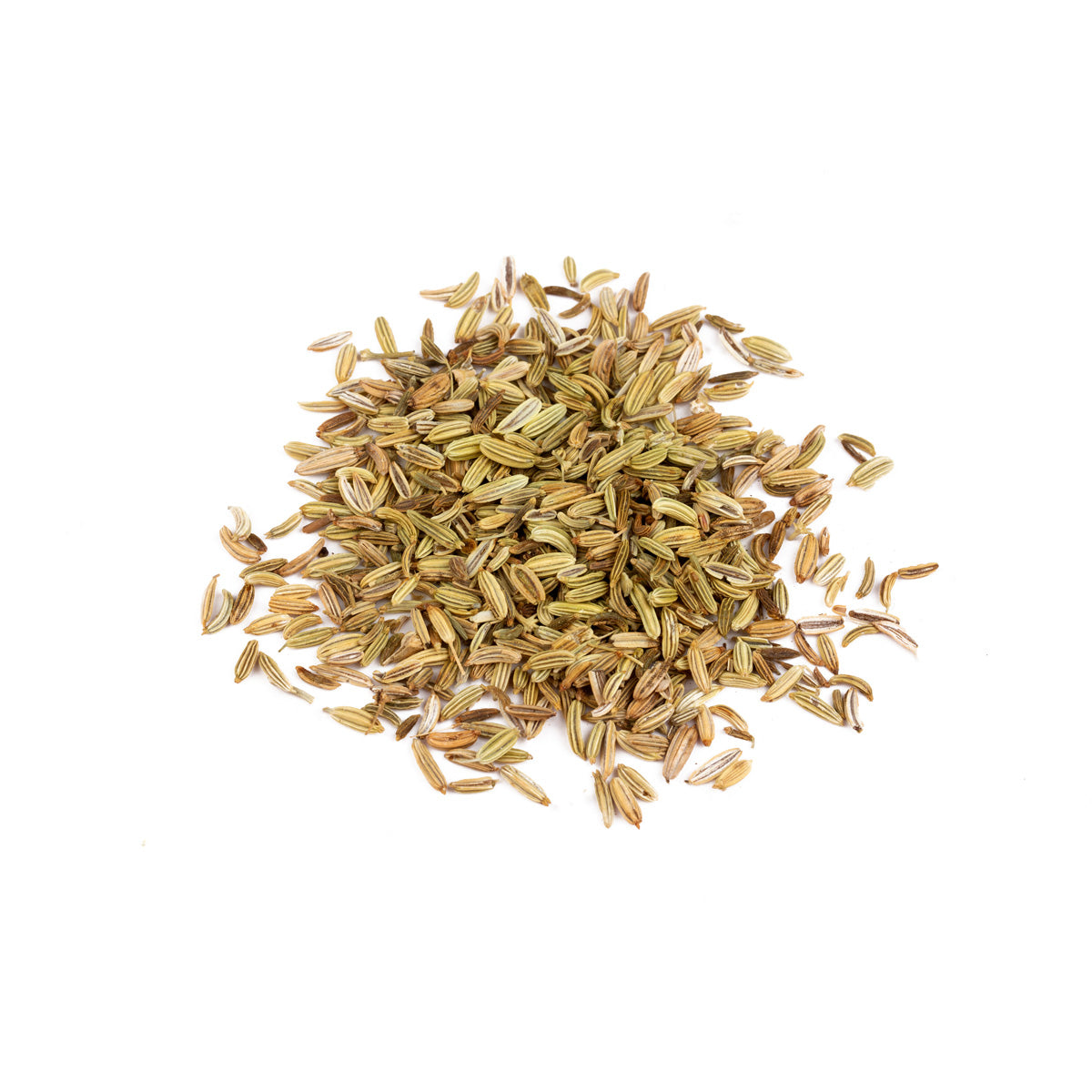 Fennel Seeds
