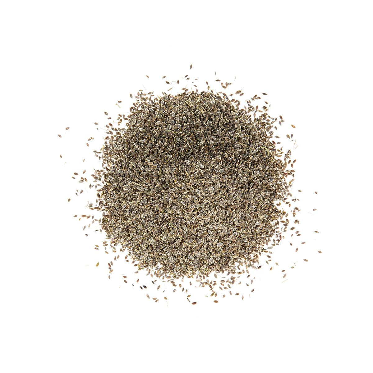 Dill Seeds