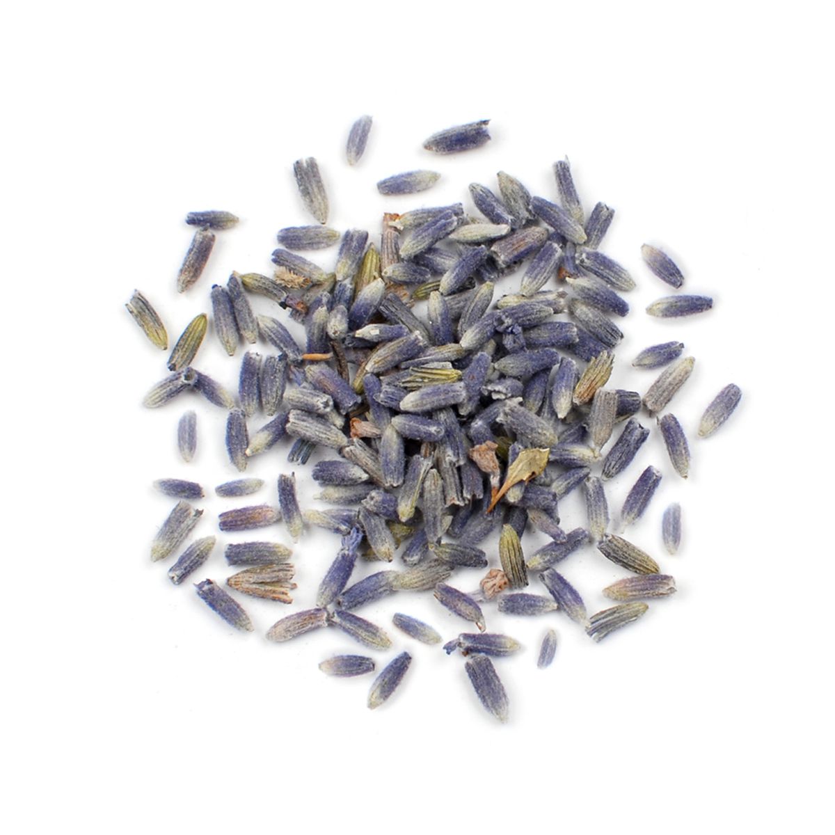 Dried Lavender Flowers
