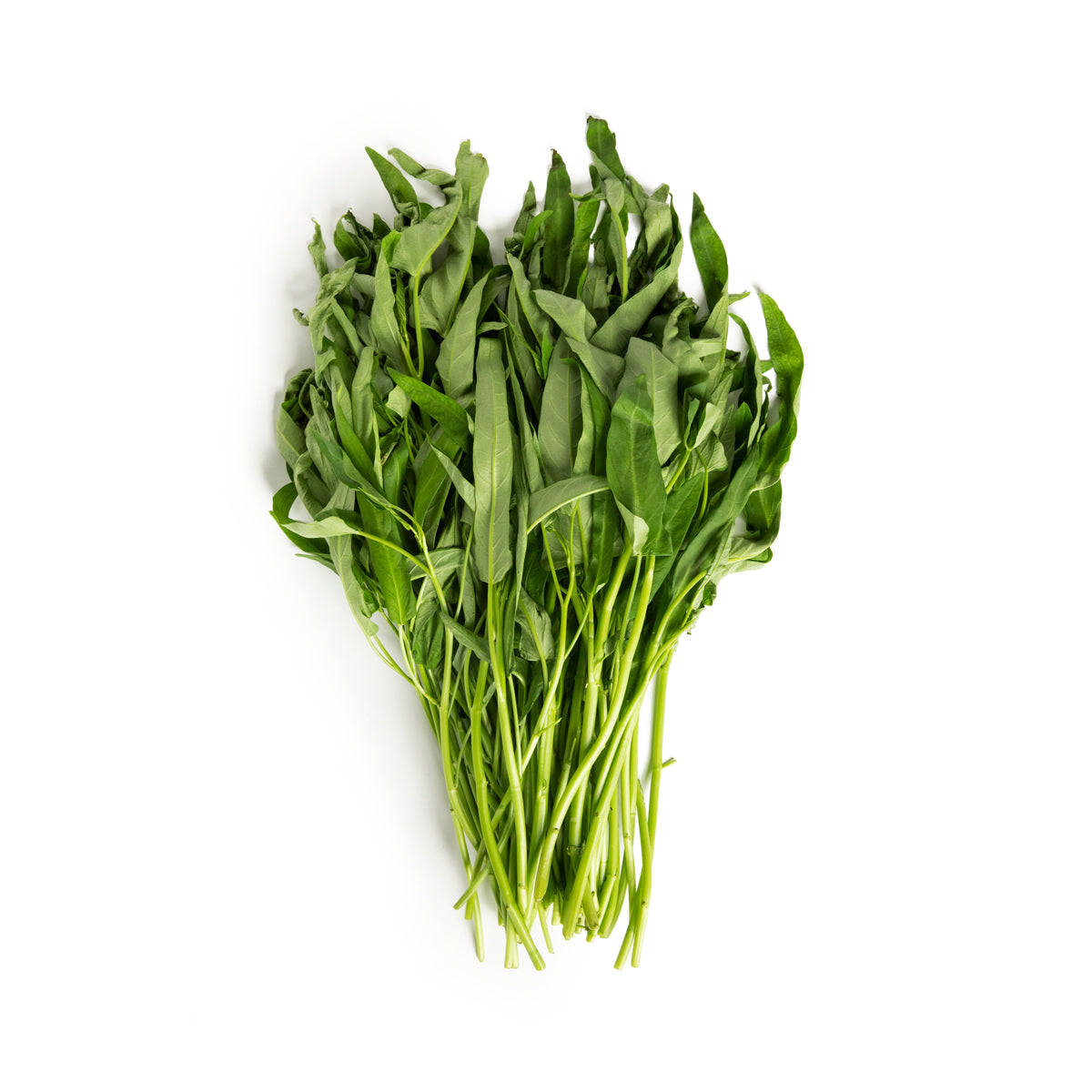 Water Spinach
