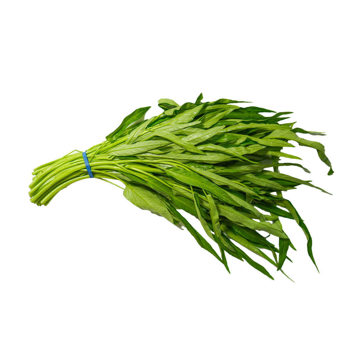 Water Spinach