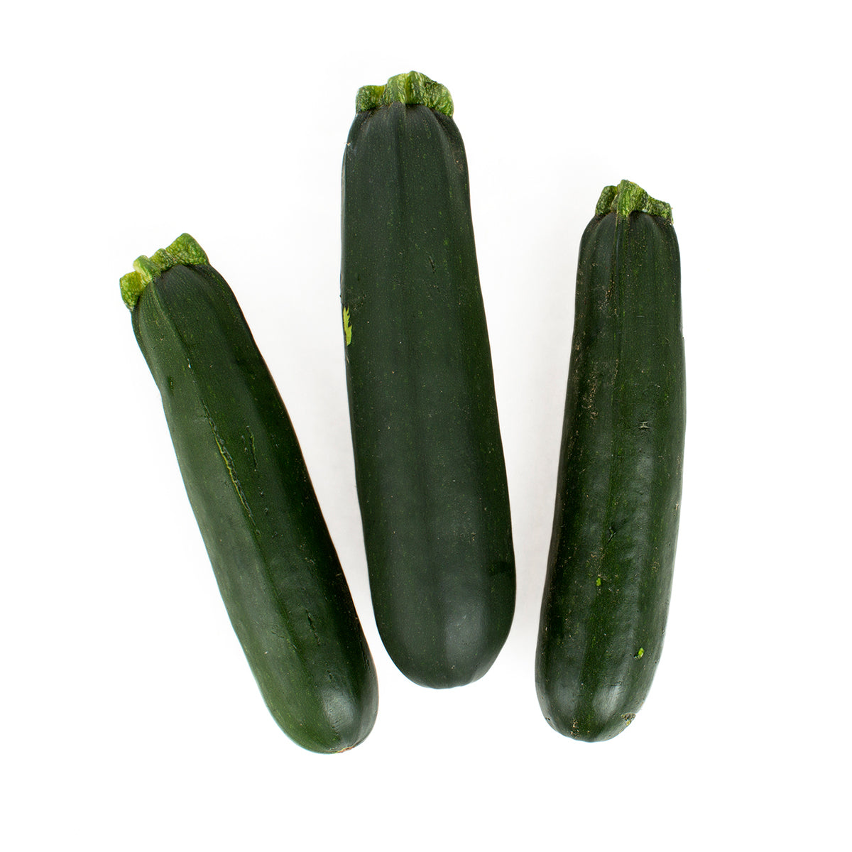Medium Zucchini
