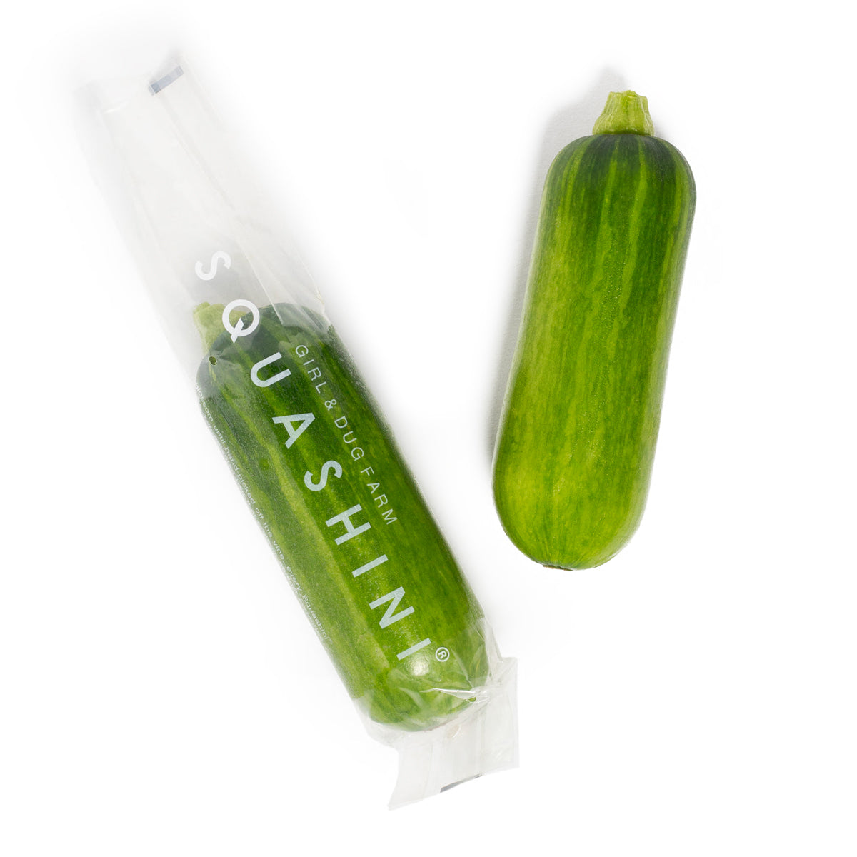 Squashini®