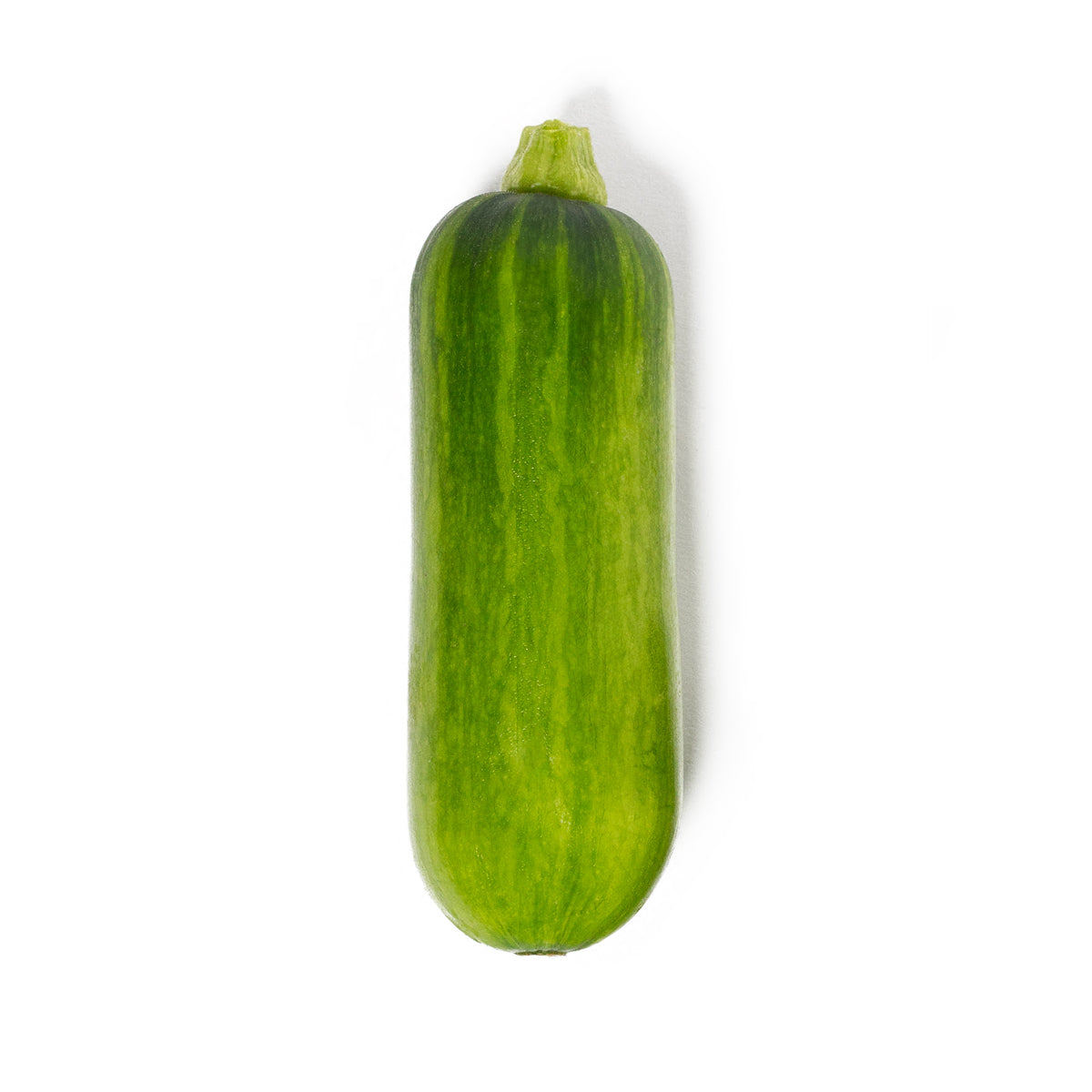 Squashini®