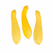 Organic Fancy Yellow Squash