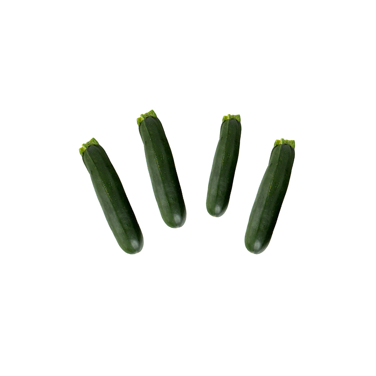 Baby Green Zucchini