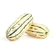 Organic Delicata Squash
