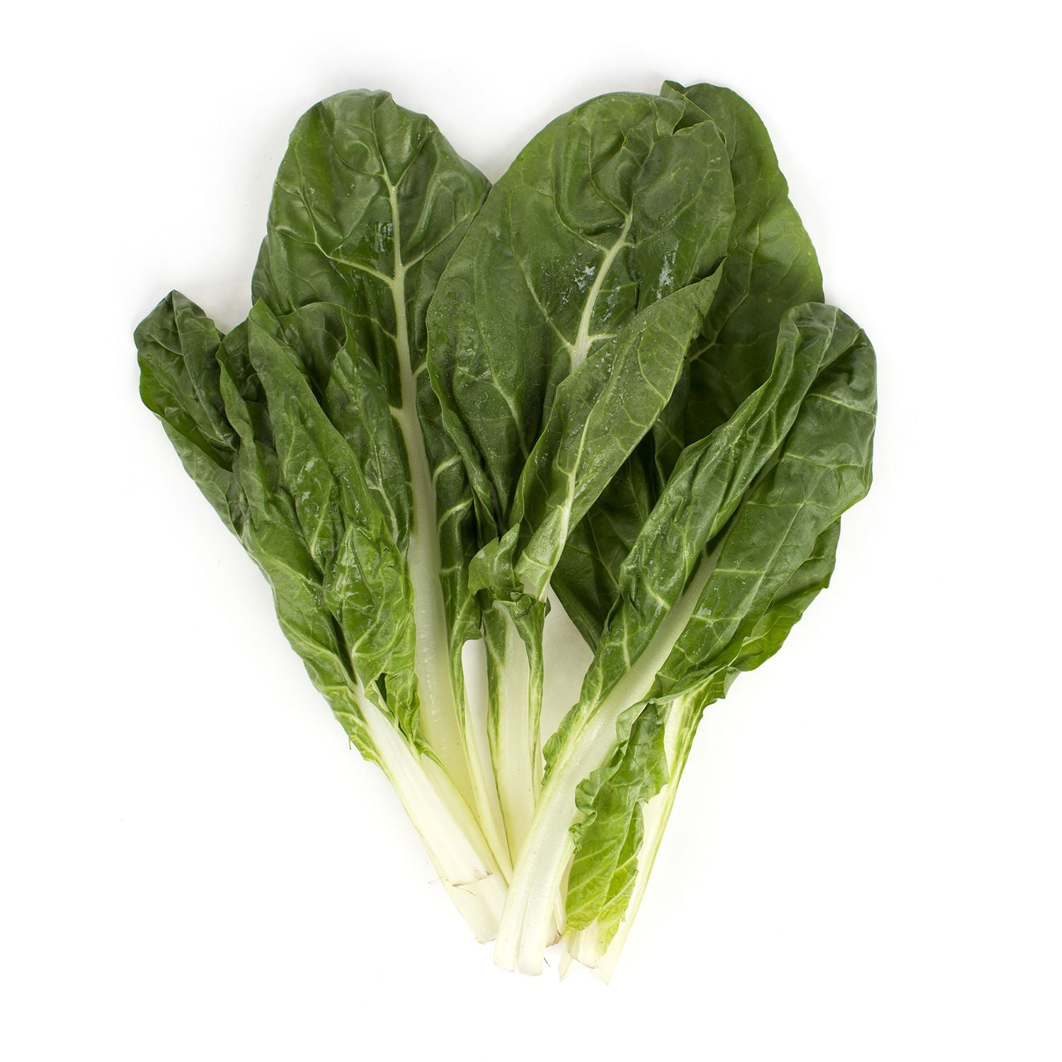 Green Swiss Chard