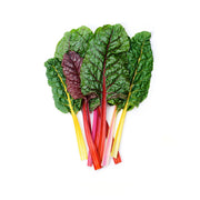 Bright Lights Rainbow Swiss Chard