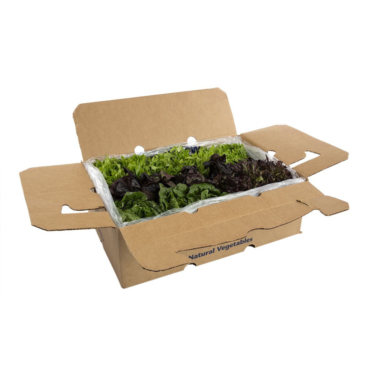 Artisan Mini Head Lettuce
