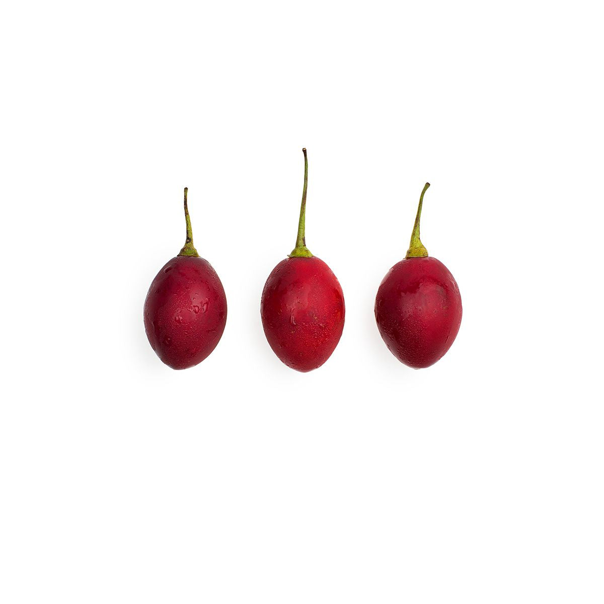 Red Tamarillo (Tree Tomato)