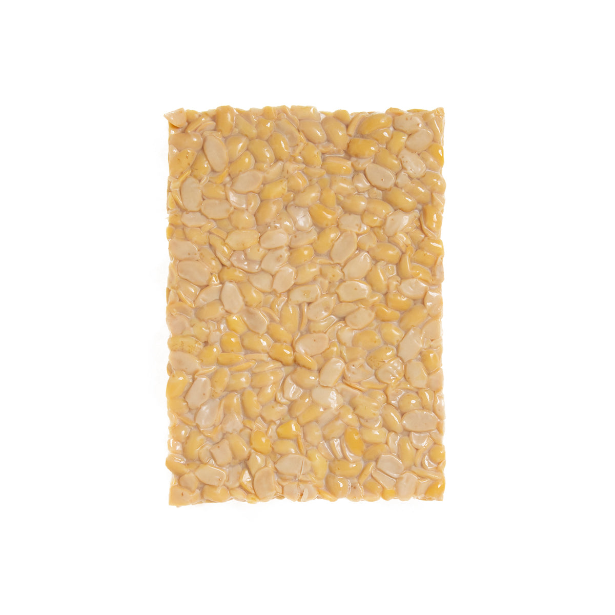Organic Traditional Tempeh