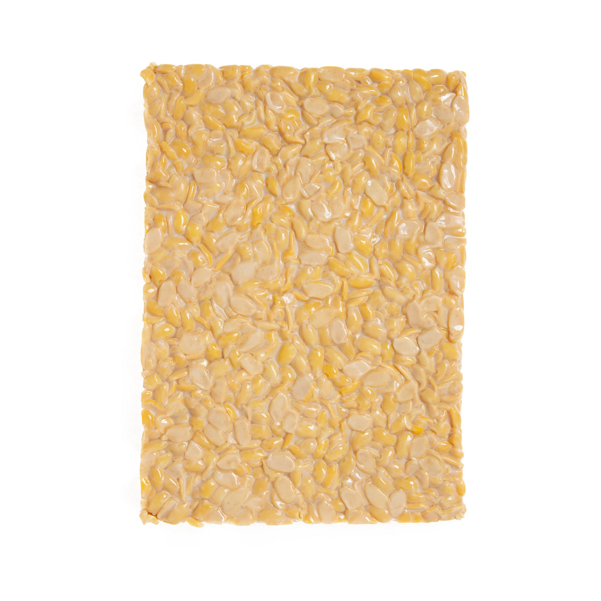 Organic Traditional Tempeh Bulk Pack
