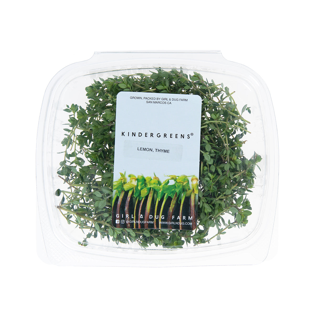 Lemon Thyme