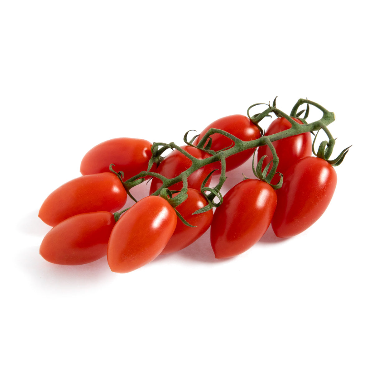 Sugar Bombs Grape Tomatoes on the Vine
