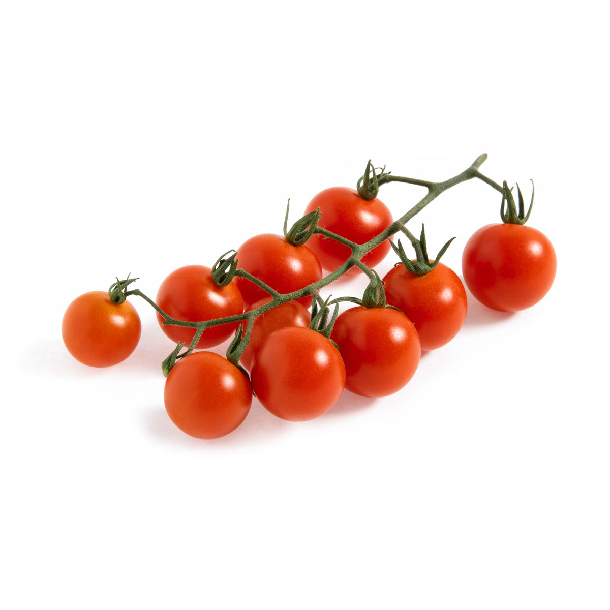 Honey Bombs Cherry Tomatoes on the Vine