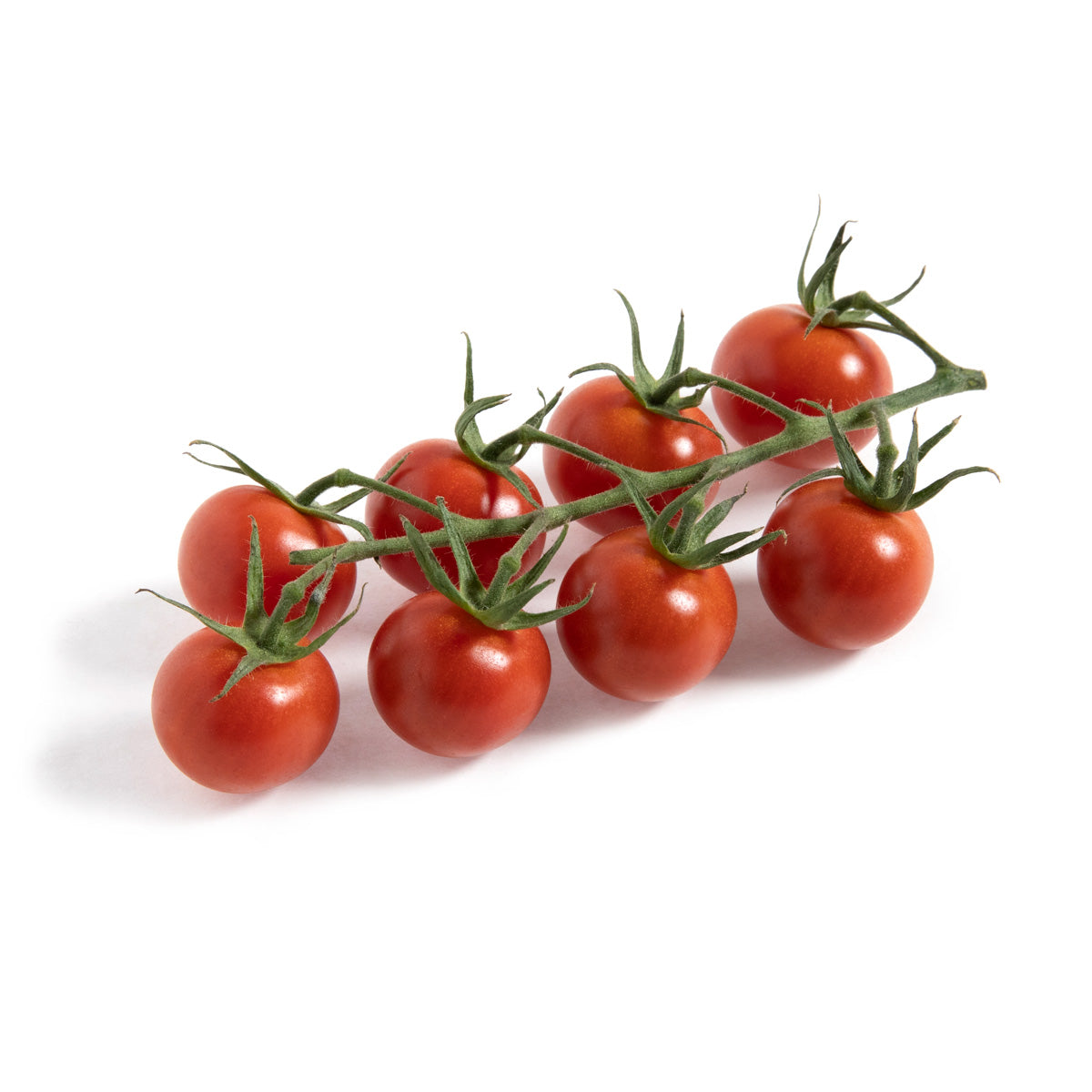 Flavor Bombs Cherry Tomatoes on the Vine