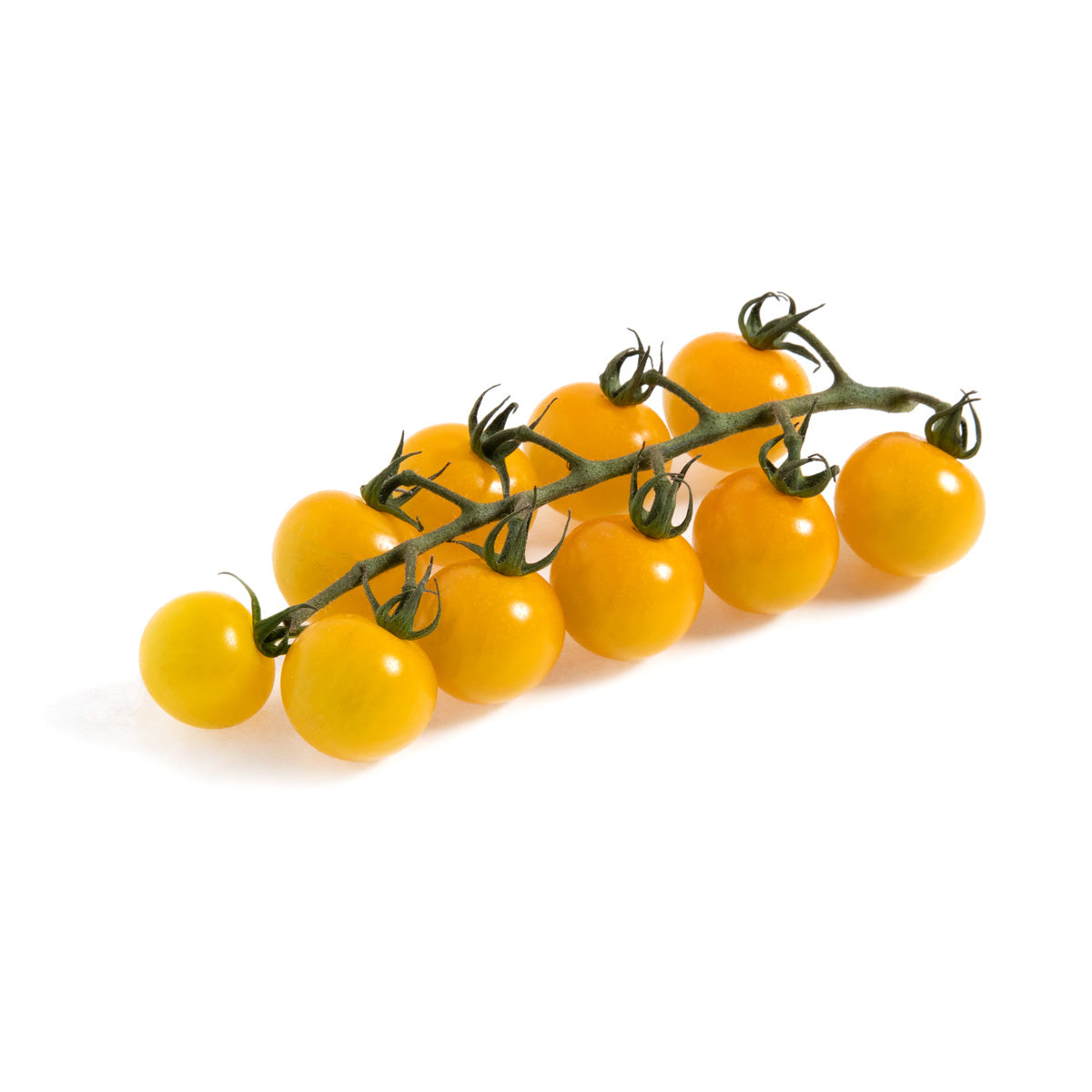 Lolli Bombs Cherry Tomatoes on the Vine