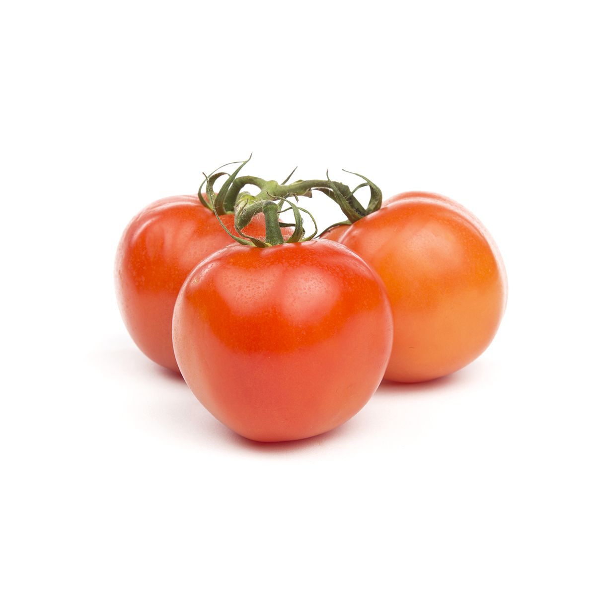 Tomatoes on the Vine