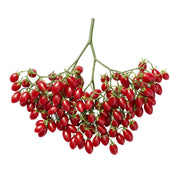 Grape Tomatoes on the Branch