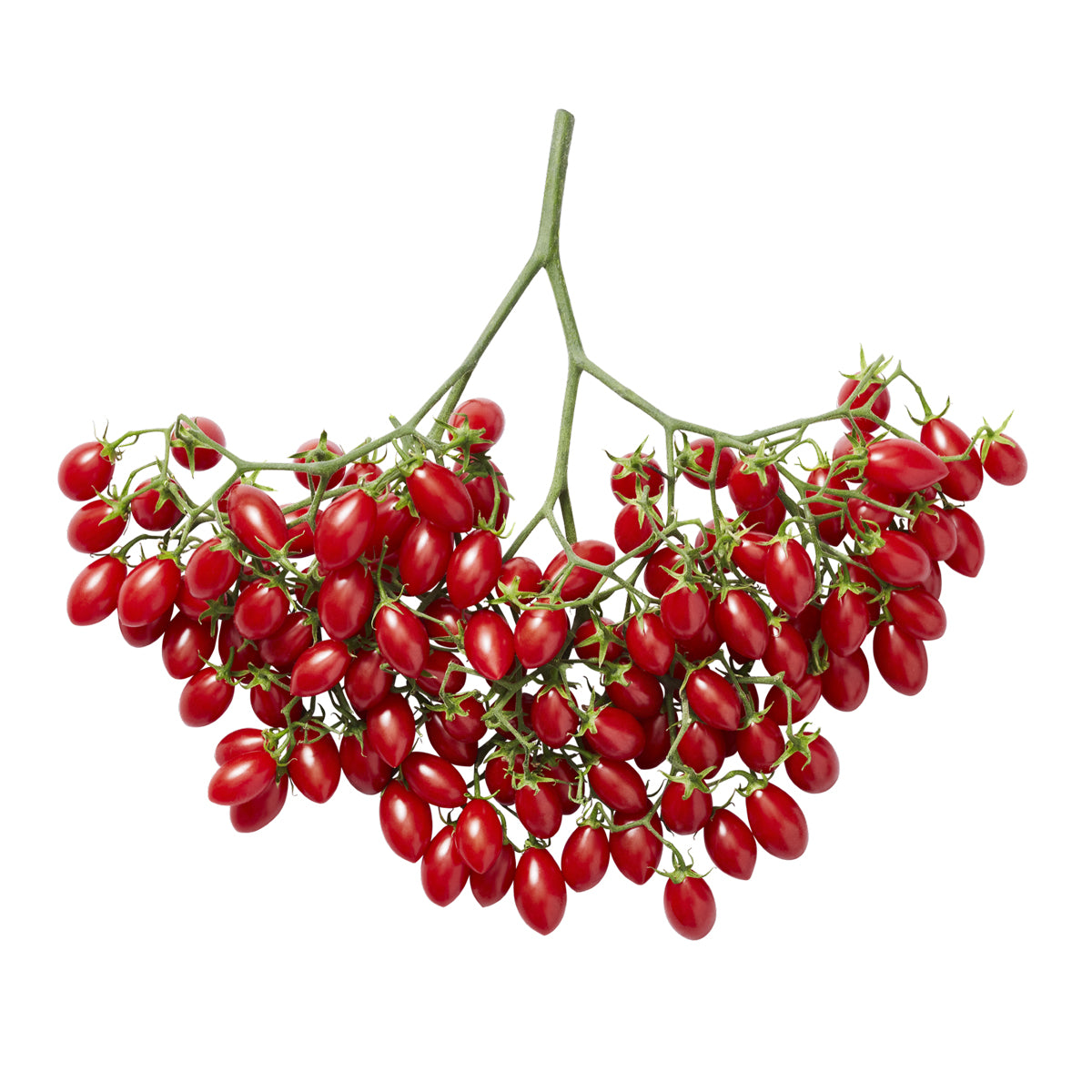 Grape Tomatoes on the Branch