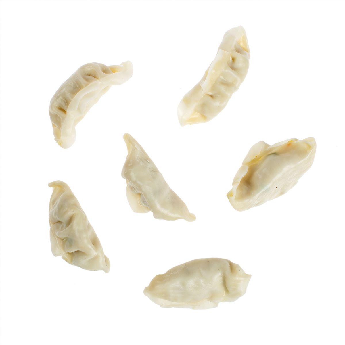 Vegetable Potsticker